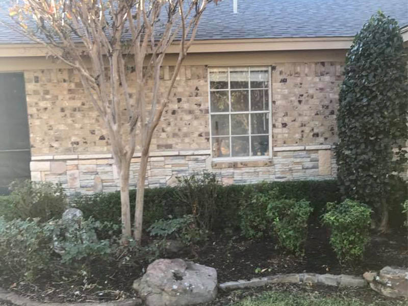 Tree care project in Addison, Texas