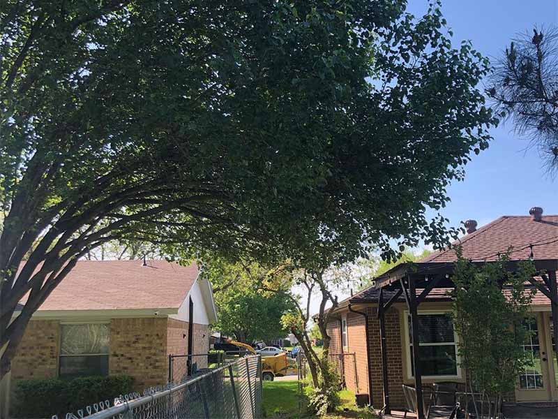 Tree service project in Addison, Texas