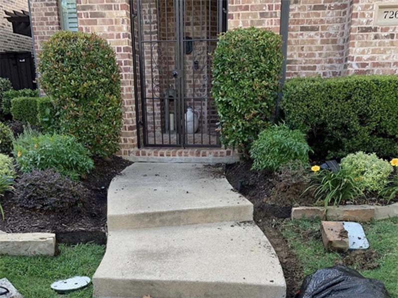 Stone path before tree service work